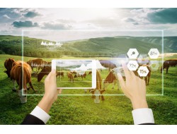 尊龙·凯时(首页)人生就是博!