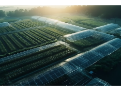 尊龙·凯时(首页)人生就是博!