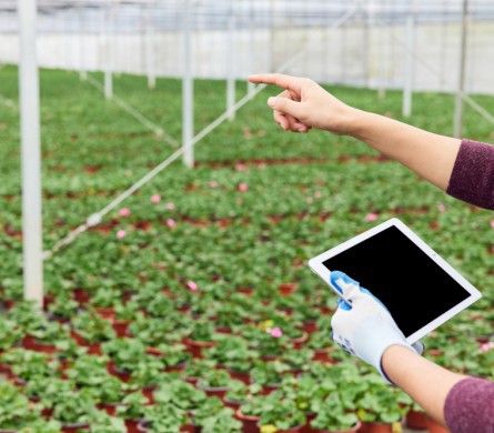 尊龙·凯时(首页)人生就是博!